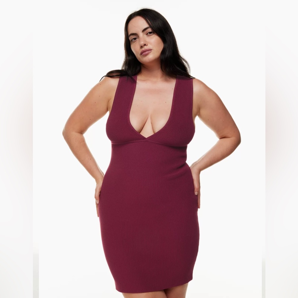 Aritzia ribbed v-neck mini dress